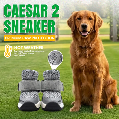 Rifruf Breathable Non-Slip Pet Shoe Set – Lightweight Protective Sneakers for Dogs and Cats