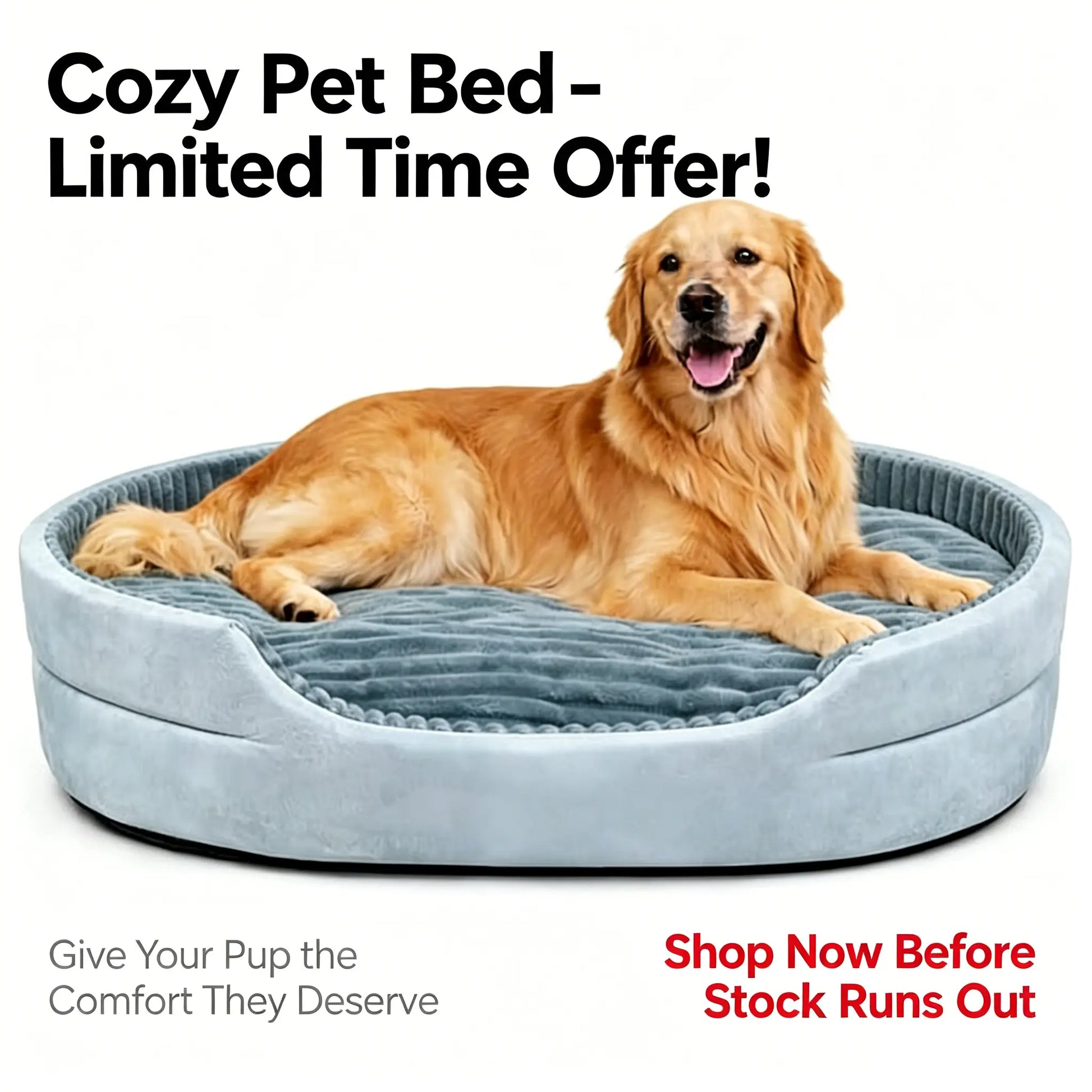 GTPLAYER Plush Dog Bed with Egg Crate Foam, Washable Removable Cover, Waterproof Base, and Non-Slip Bottom for Small to X-Large Dogs - Indoor Pet Sofa in Grey