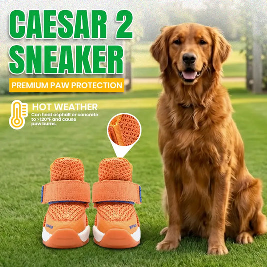 Rifruf Breathable Non-Slip Pet Shoe Set – Lightweight Protective Sneakers for Dogs and Cats
