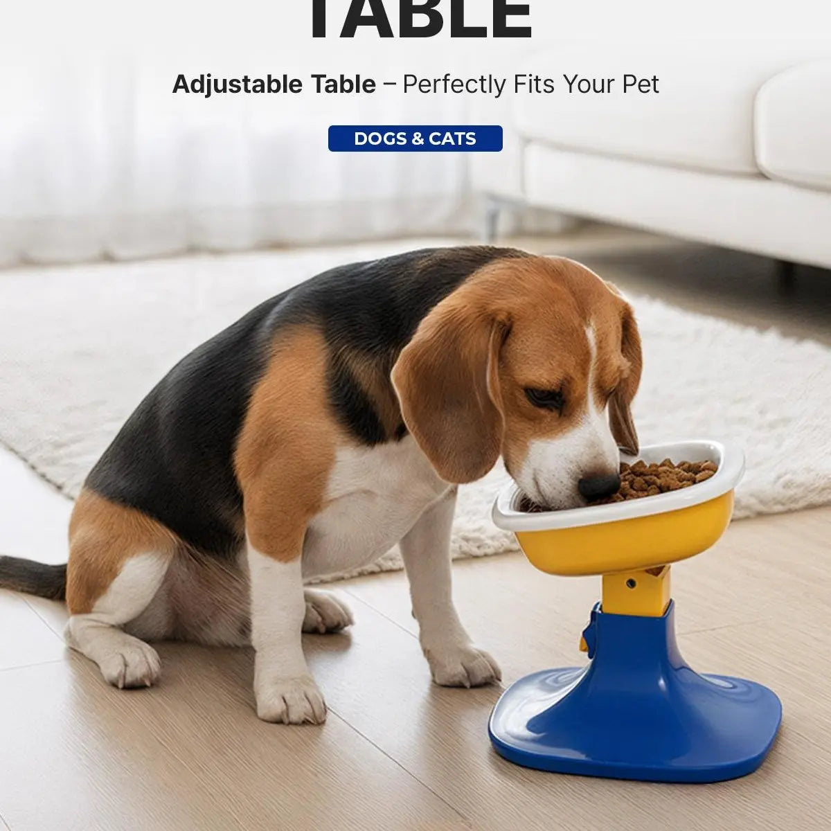 PETHROOM Adjustable Height Feeding Stand with Non-Slip Base and Durable Ceramic Bowls for Dogs and Cats