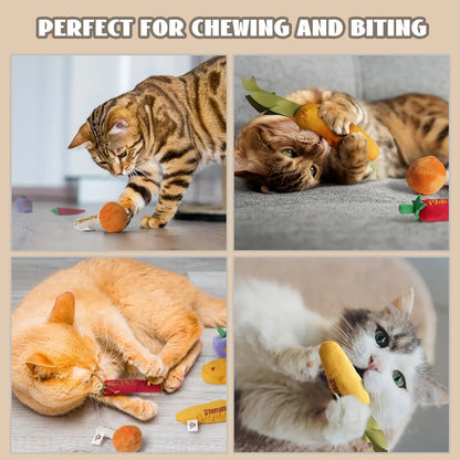 Pawsible Premium 5-Pack Cat Toy Set with Natural Herb Filling for Stimulation and Teething, Ideal for Kittens
