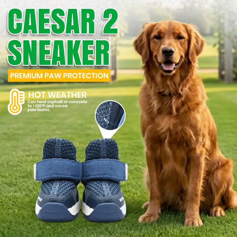 Rifruf Breathable Non-Slip Pet Shoe Set – Lightweight Protective Sneakers for Dogs and Cats