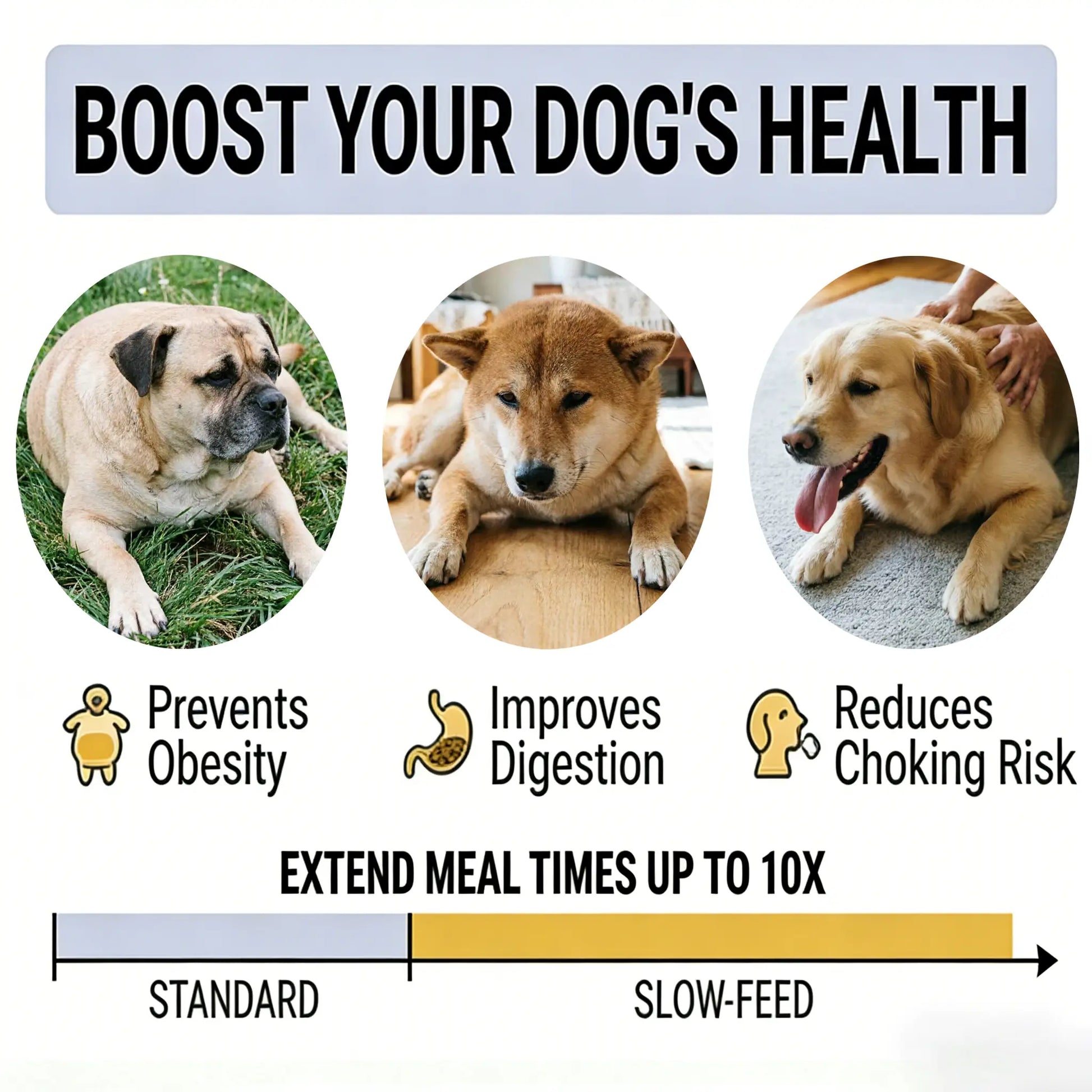 Slow Feeder Dog Bowl - Anti-Slip and Removable Design for Easy Cleaning, Promotes Safe Eating for Medium and Small Breeds, Engaging Puzzle Toy for Mealtime