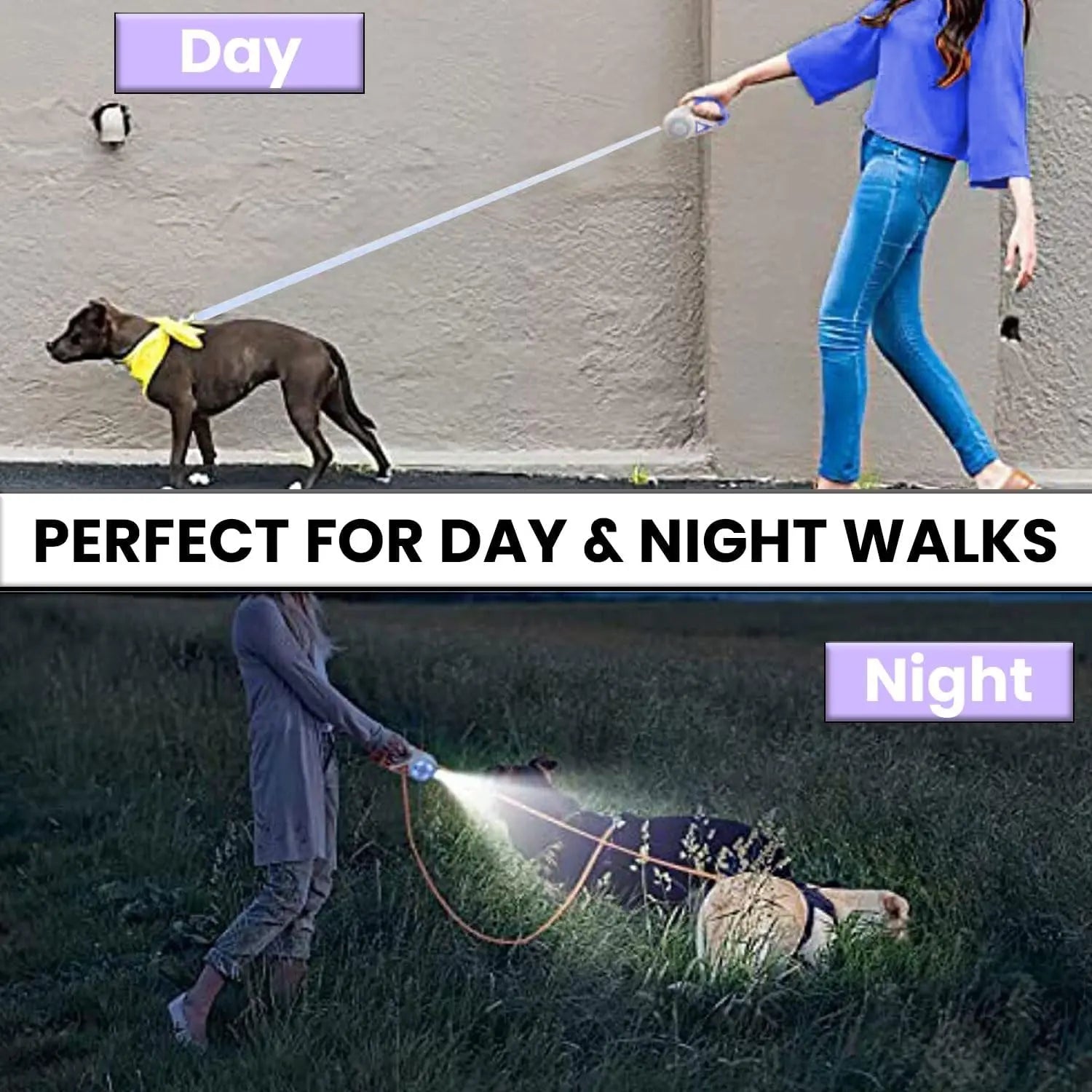 Pawzseek LED Retractable Dog Leash for Improved Nighttime Safety