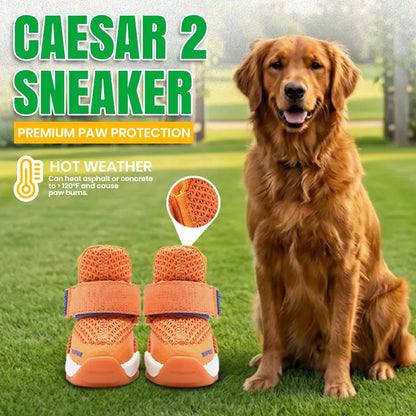 Rifruf Breathable Non-Slip Pet Shoe Set – Lightweight Protective Sneakers for Dogs and Cats