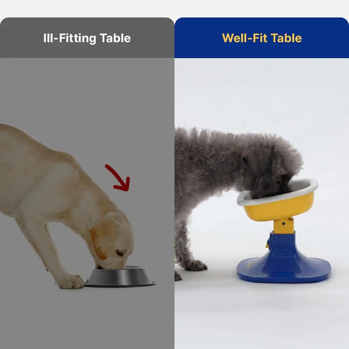 PETHROOM Adjustable Height Feeding Stand with Non-Slip Base and Durable Ceramic Bowls for Dogs and Cats